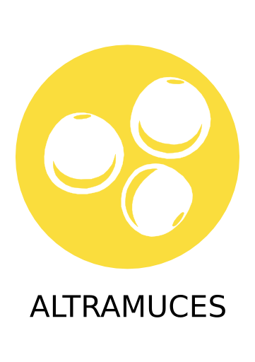 Alérgenos altramuces